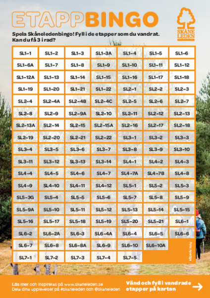 Sk&aring;neleden Bingo